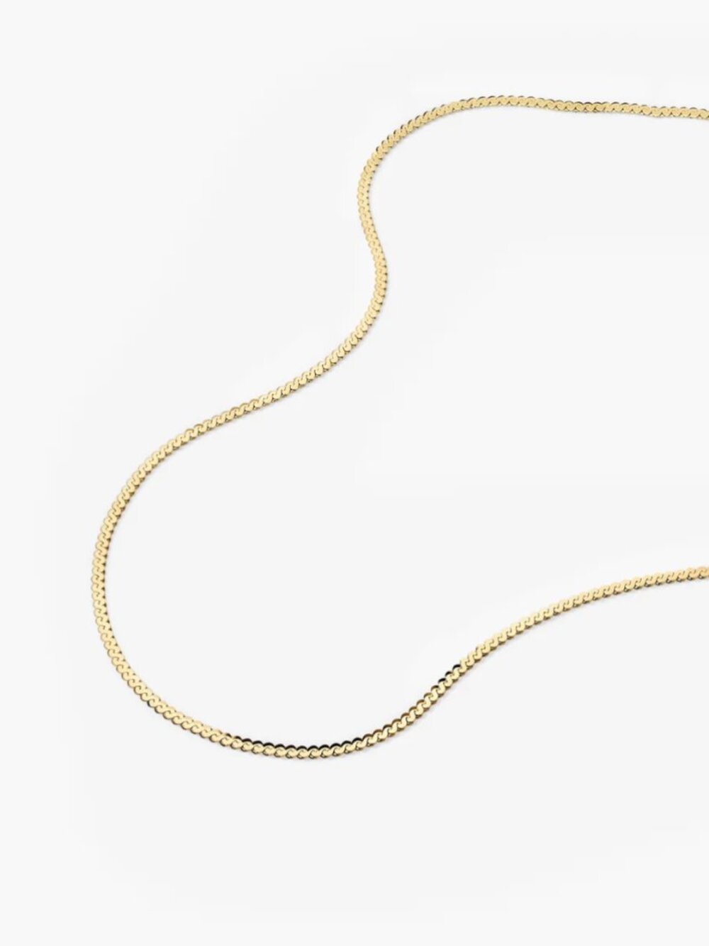 Mejuri- Serpentine Chain Necklace